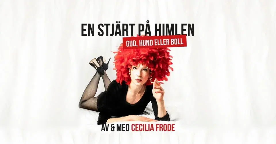 CECILIA FRODE; En Stjärt på Himlen, Gud Hund eller Boll