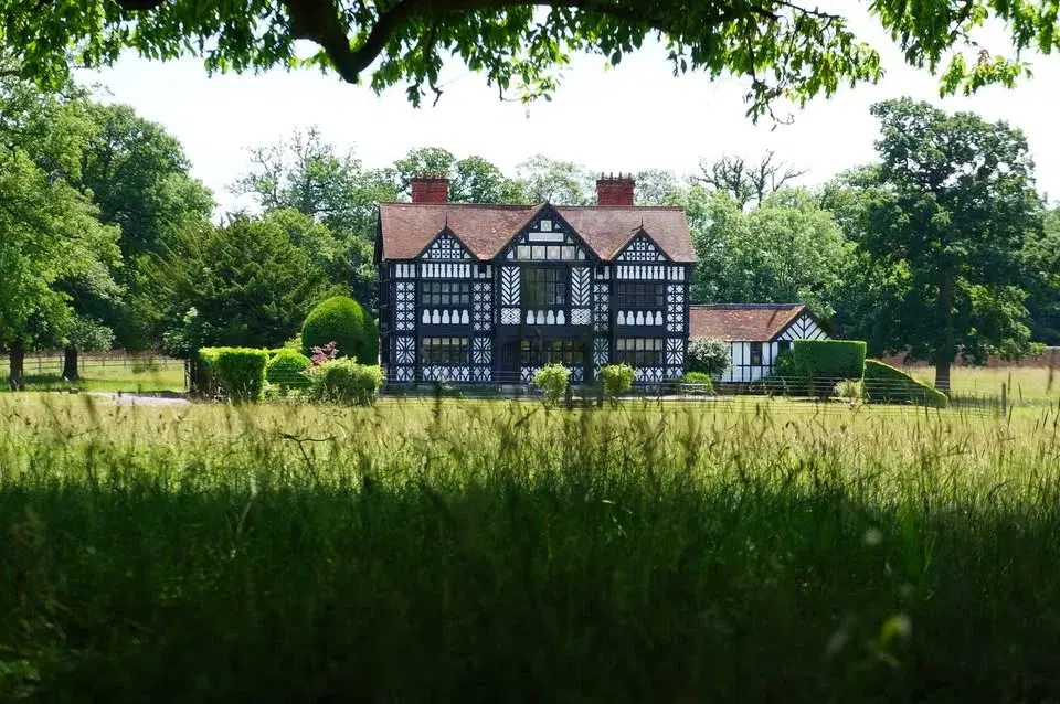 Chilean Wine Tutorial