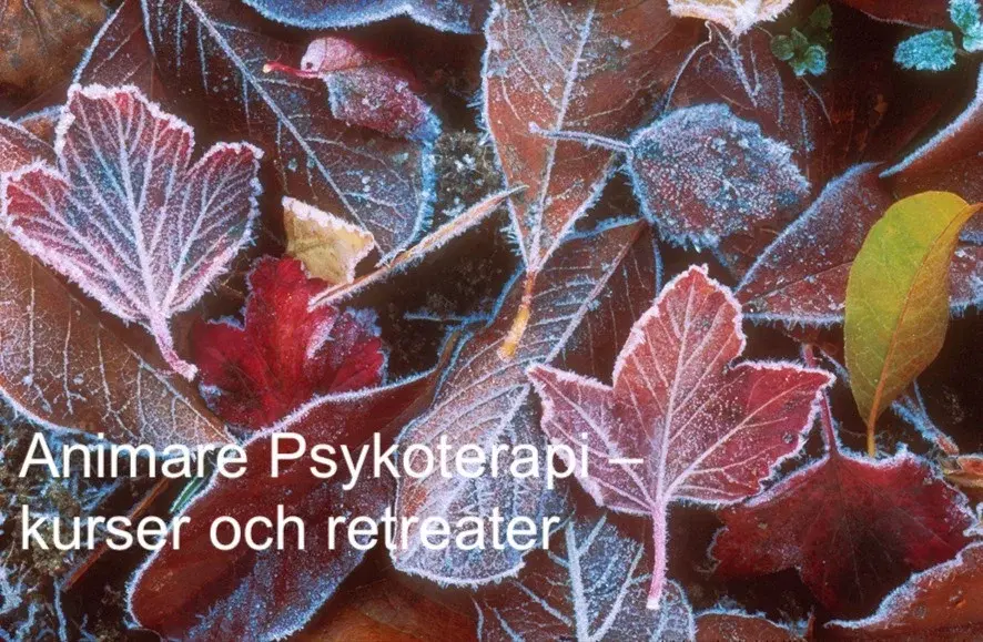 AEDP - ATT ARBETA MED FÖRSVAR I UPPLEVELSEBASERAD TERAPI