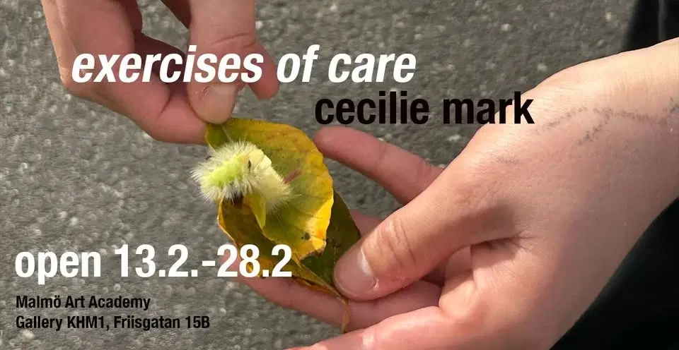 exercises of care – Cecilie Mark